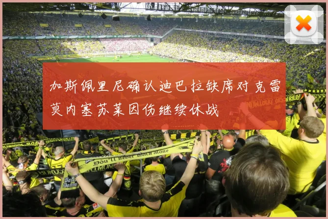 加斯佩里尼确认迪巴拉缺席对克雷莫内塞苏莱因伤继续休战