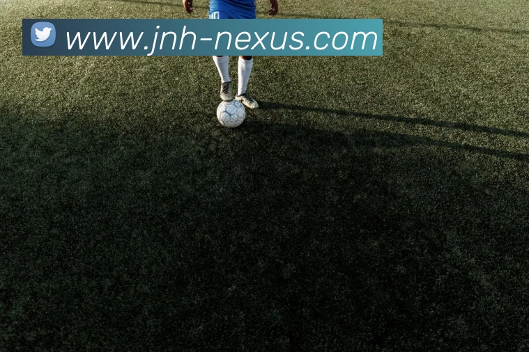 金年会APP 封面图